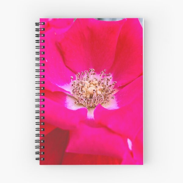 Item preview, Crimson Beauty in Full Bloom designed and sold by Betsy Phillips.