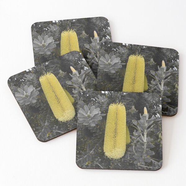 Item preview, Yellow Banksia Flower designed and sold by Yolanda Caporn Art.