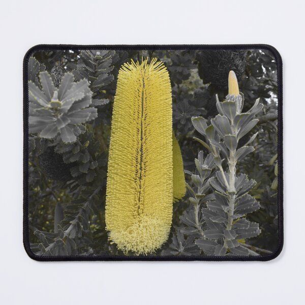 Item preview, Yellow Banksia Flower designed and sold by Yolanda Caporn Art.