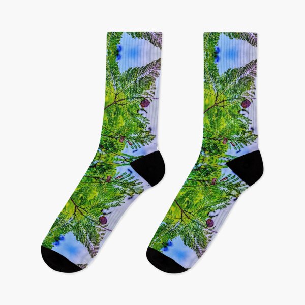 Item preview, Spring Pine III designed and sold by Guyshka.