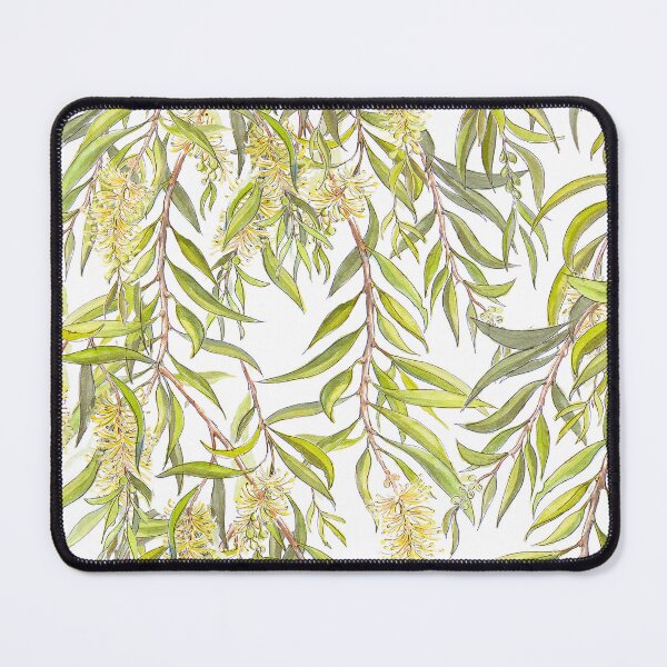 Item preview, Australian Melaleuca or Bottlebrush native plant botanical pattern designed and sold by Nadya Neklioudova.