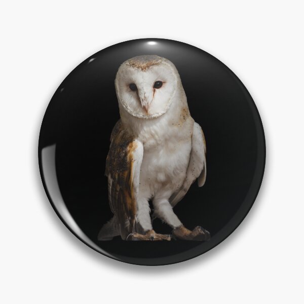 Item preview, Owl, precious animal designed and sold by Tienda-Vane.
