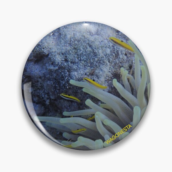 Item preview, Underwater - Little Yellow Fish ln Coral at Bonaire by Wagonesta  designed and sold by Wagonesta.