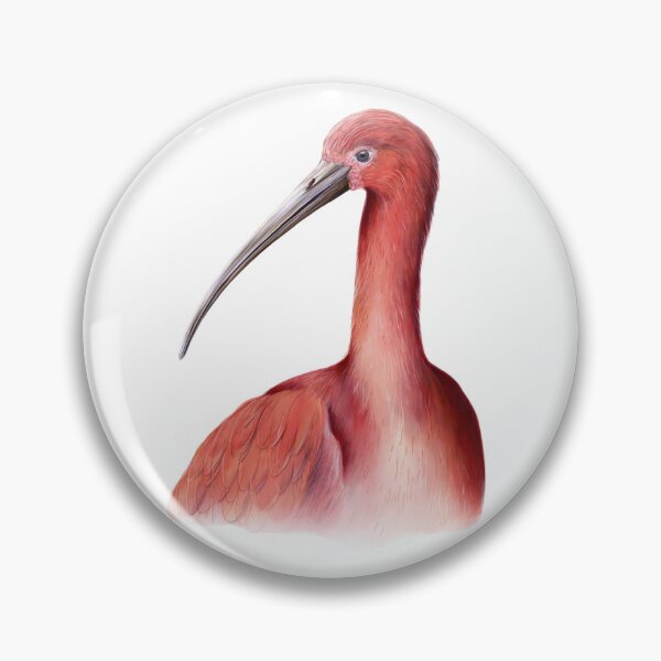 Item preview, Scarlet ibis (eudocimus ruber) designed and sold by BiotaSilvestre.