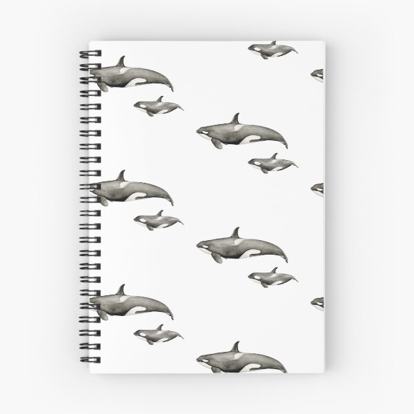 Item preview, Killer whale (Orcinus orca) designed and sold by BiotaSilvestre.