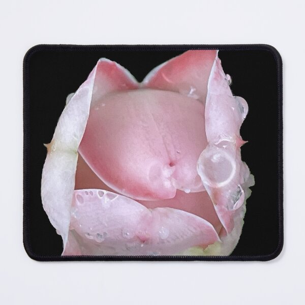 Item preview, pink rose bud blooming after the rain designed and sold by tnlisa.