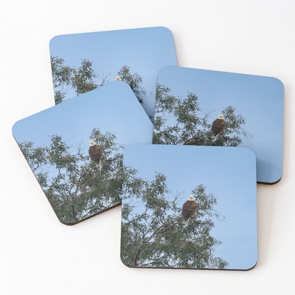 Item preview, Huntington Beach Bald Eagle Sitting Pretty designed and sold by PsychoAlien.com.