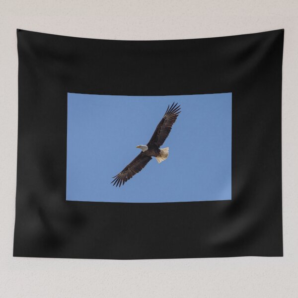 Item preview, Huntington Beach Bald Eagle Flying Majestically designed and sold by PsychoAlien.com.