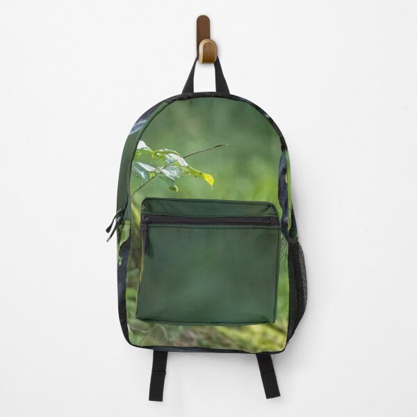 Item preview, Puma designed and sold by JohnBlack2025.