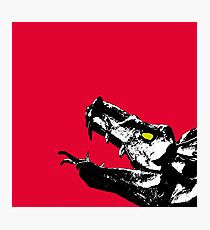 red dragon Photographic Print