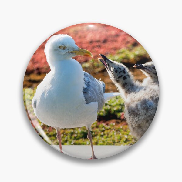 Item preview, Herring Gull with Her Young Chicks designed and sold by Dorset Girl.