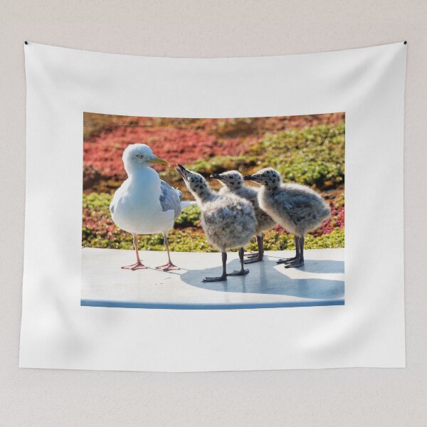 Item preview, Herring Gull with Her Young Chicks designed and sold by Dorset Girl.