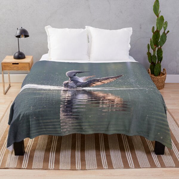 Item preview, Splash fun. Black-throated loon designed and sold by Jouko Lehto Photography.