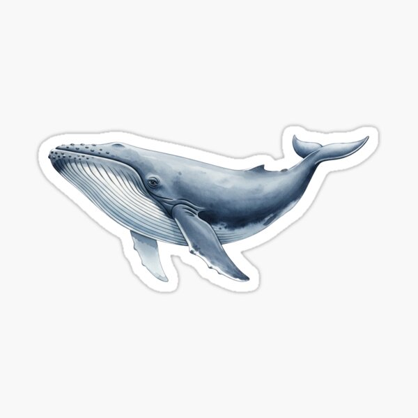 Item preview, Blue Whale designed and sold by 4rtistcDrift.