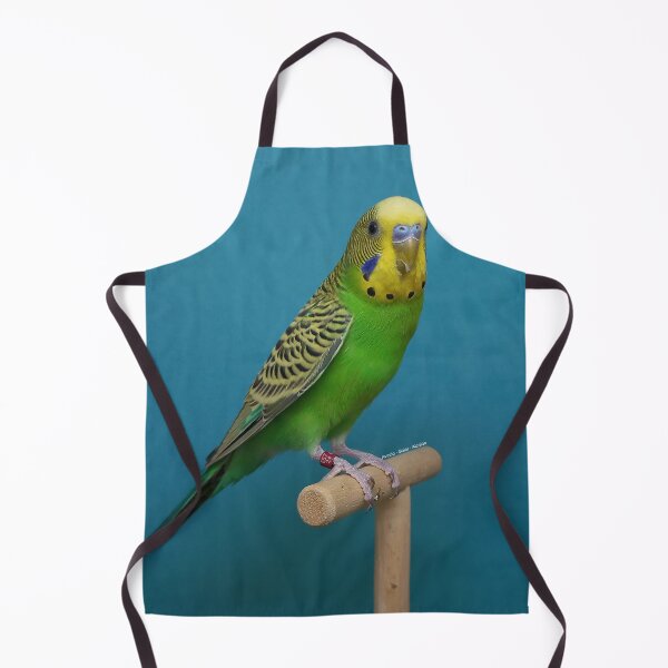 Item preview, Budgie - Model 8 designed and sold by Aviario Soler Alcaide.