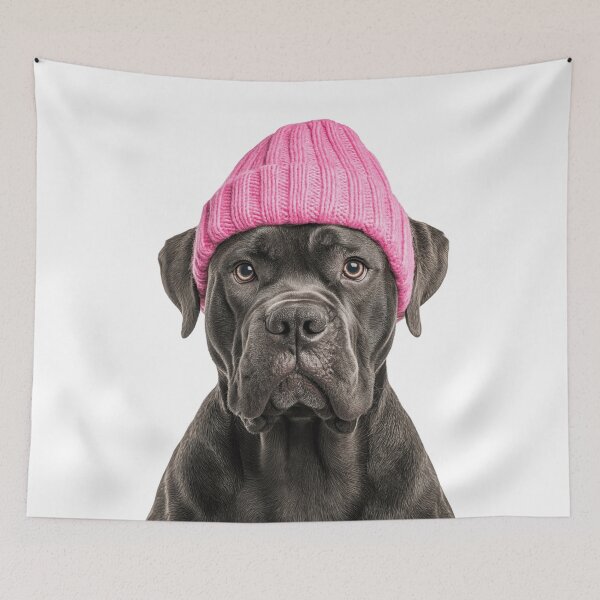 Artikelvorschau, Gemütlicher Cane Corso Hund trägt rosa Wintermütze trendige Tiermode Kunstwerk entworfen und verkauft von LazyOwlStore.