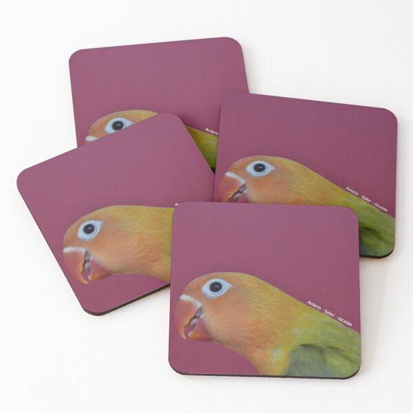 Artikelvorschau, Lovebird - Modell 2 entworfen und verkauft von Aviario Soler Alcaide.