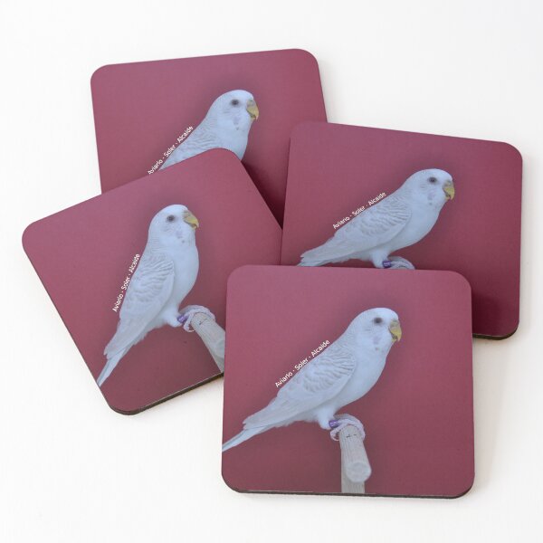 Item preview, Budgie - Model 1 designed and sold by Aviario Soler Alcaide.