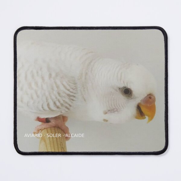 Item preview, Budgie - Model 6 designed and sold by Aviario Soler Alcaide.