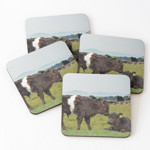 Item preview, Belted Galloway designed and sold by Murph's Images.