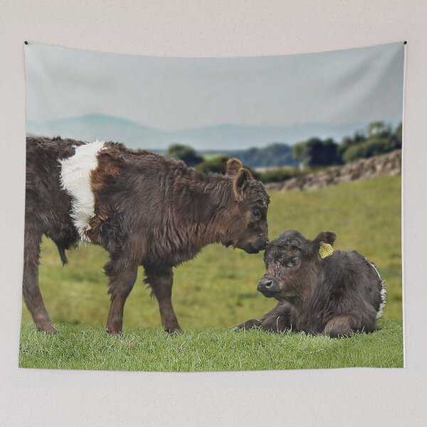 Item preview, Belted Galloway designed and sold by Murph's Images.