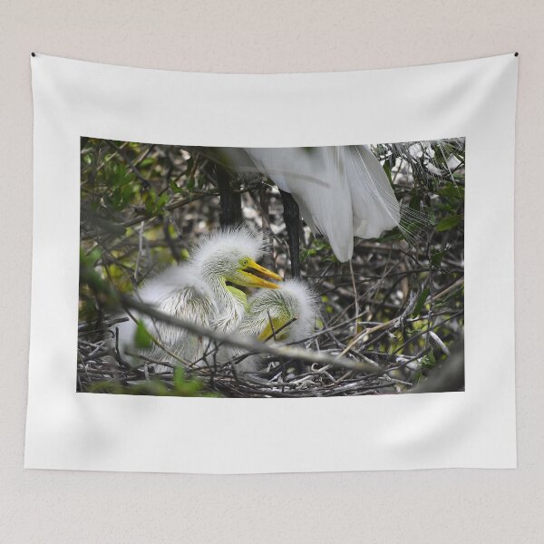Item preview, Snowy Egret Nest  designed and sold by MercerImages.