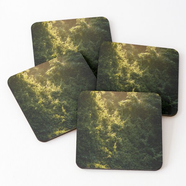 Item preview, Golden Sunlight Through Jungle – Morning Nature Poster designed and sold by Xynith.