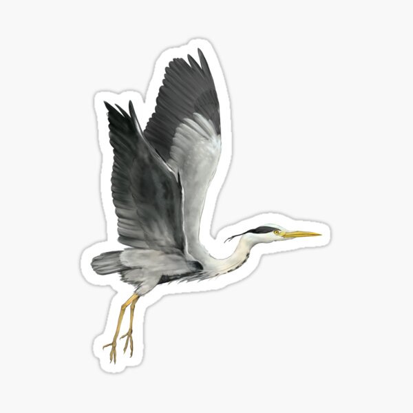 Grey Heron in Flight Sticker