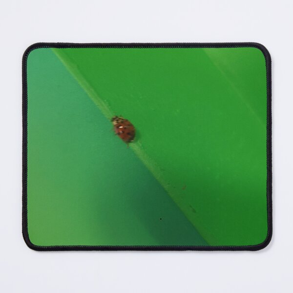 Item preview, Ladybugs designed and sold by TarrejB.