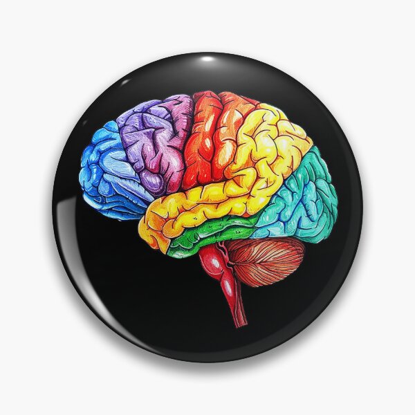 Item preview, White-isolated 3D human brain, ideal for medical illustrations of anatomy, intellect, and neurological science designed and sold by KanDa-Shop.