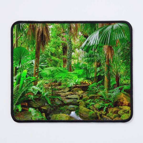 Item preview, Tropical Garden, Edge Hill, Far North Queensland, Australia designed and sold by OzCamera.
