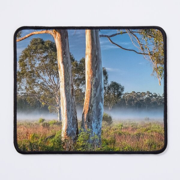 Item preview, Eucalyptus trees designed and sold by andreisky.