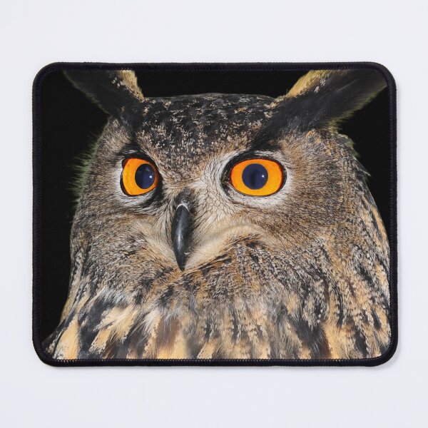 Item preview, Owl, precious animal designed and sold by Tienda-Vane.