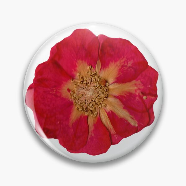 Artikelvorschau, Getrocknete rote Blume entworfen und verkauft von di-Vera-Rosati.