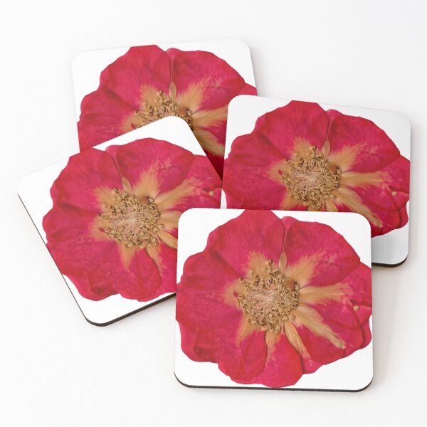 Item preview, Flor roja seca designed and sold by di-Vera-Rosati.