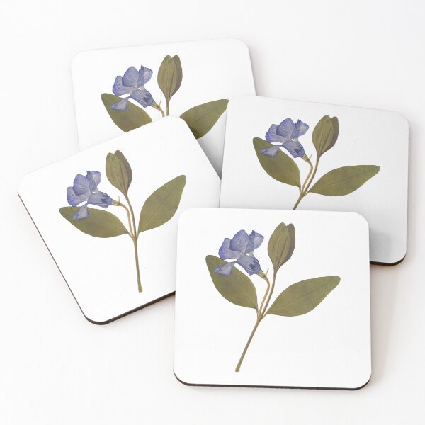 Item preview, Dried periwinkle designed and sold by di-Vera-Rosati.