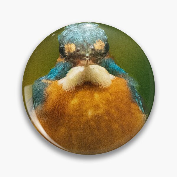 Item preview, Stare of a Kingfisher designed and sold by TravellingFatmn.