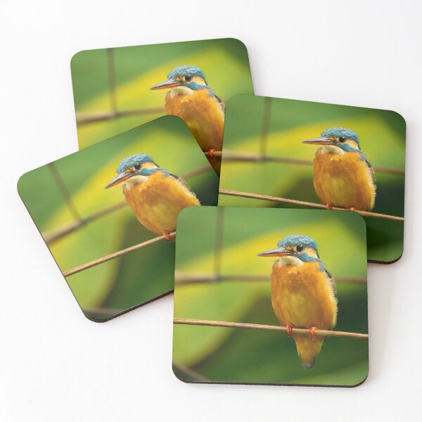 Item preview, Kingfisher perched on a branch designed and sold by TravellingFatmn.