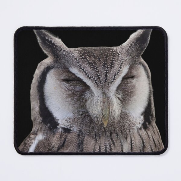 Item preview, Owl, precious animal designed and sold by Tienda-Vane.