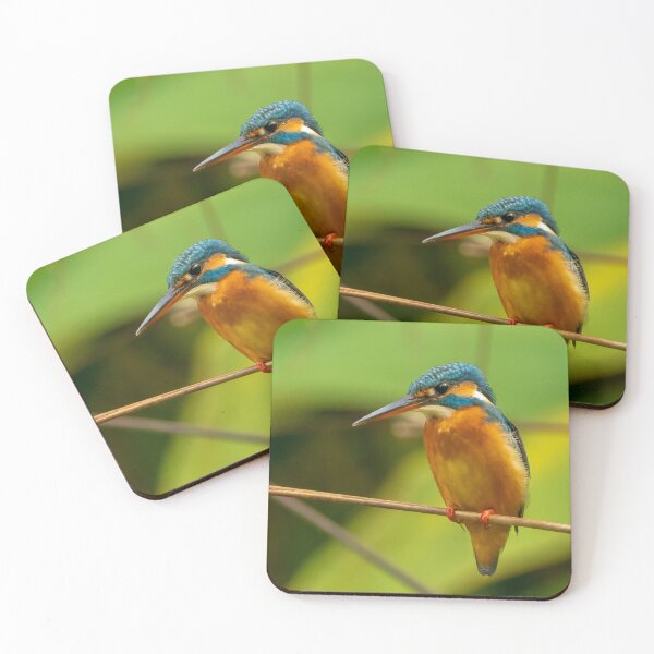 Item preview, Common Kingfisher designed and sold by TravellingFatmn.