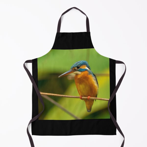Item preview, Common Kingfisher designed and sold by TravellingFatmn.