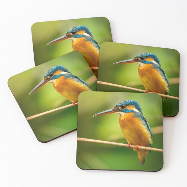 Item preview, Common Kingfisher  designed and sold by TravellingFatmn.