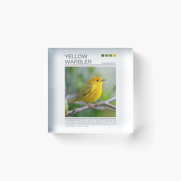 Item preview, Yellow Warbler designed and sold by StudioRedKoala.