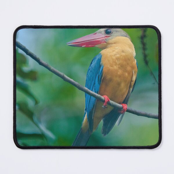 Item preview, Stork-billed Kingfisher designed and sold by TravellingFatmn.