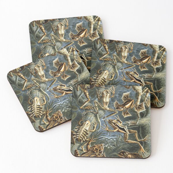 Item preview, Vintage Frog Illustration Ernst Haeckel Scientific Art designed and sold by rapplatt.