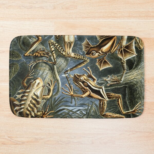 Item preview, Vintage Frog Illustration Ernst Haeckel Scientific Art designed and sold by rapplatt.