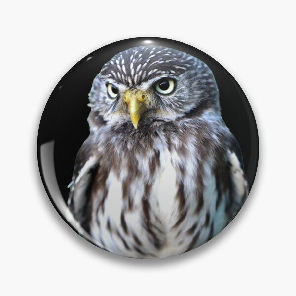 Item preview, Owl, precious animal designed and sold by Tienda-Vane.