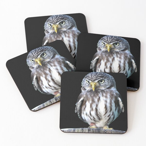 Item preview, Owl, precious animal designed and sold by Tienda-Vane.