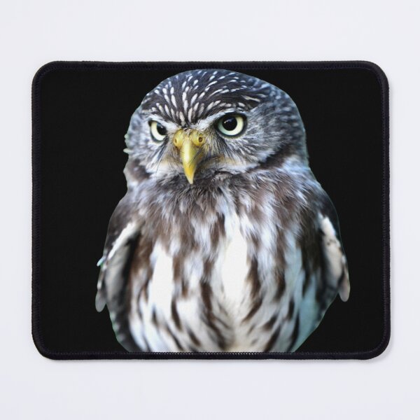 Item preview, Owl, precious animal designed and sold by Tienda-Vane.