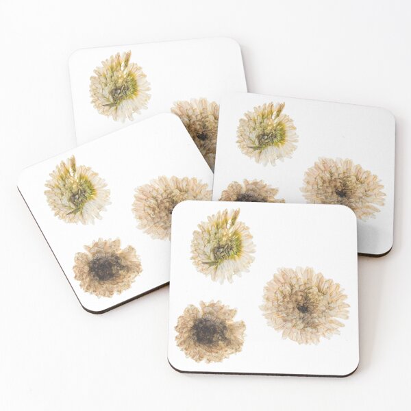Item preview, Three dried white flowers designed and sold by di-Vera-Rosati.